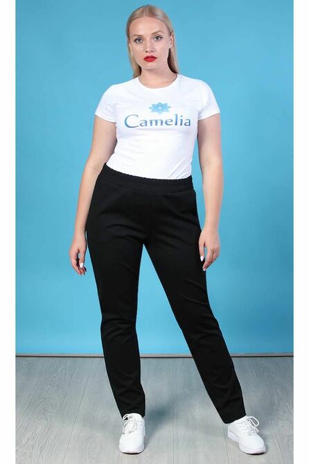 Спортивные штаны Camelia 20245 1 Спортивные штаны Camelia 20245 1