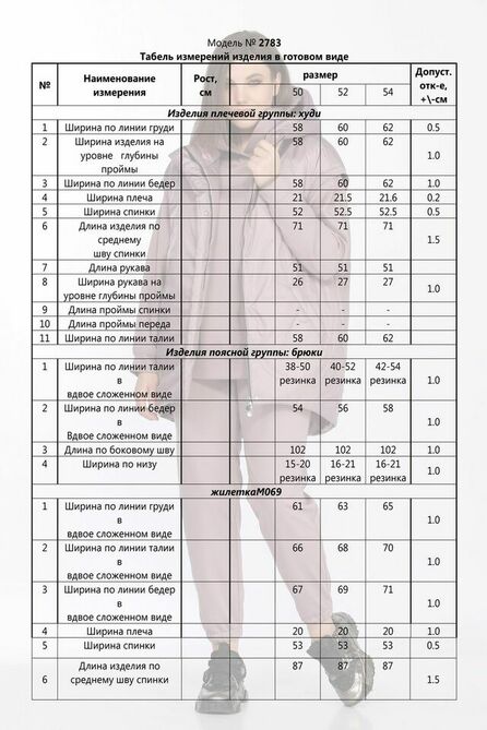 Спортивный костюм Lady Secret 2783 черный+клевер